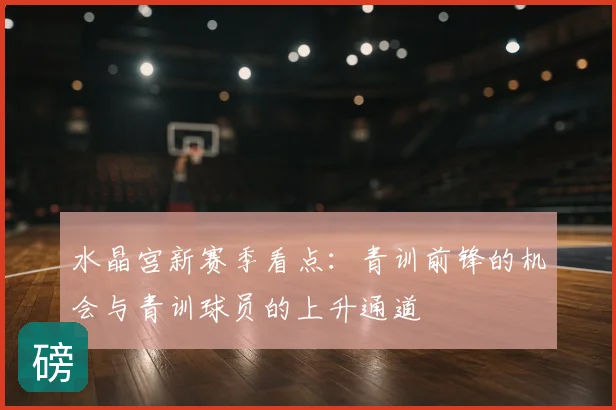 水晶宫新赛季看点：青训前锋的机会与青训球员的上升通道